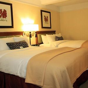 Chambre de Luxe Lit Queen-Size